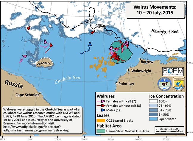 Requested Walrus Tracking Map