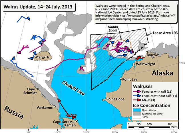 Requested Walrus Tracking Map