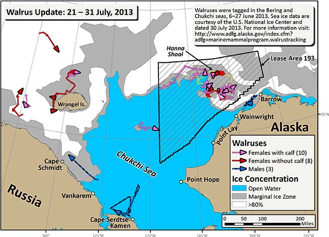 Requested Walrus Tracking Map