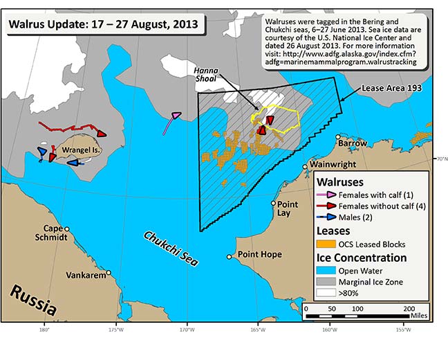 Requested Walrus Tracking Map