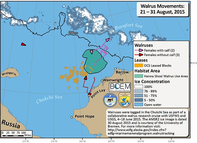 Requested Walrus Tracking Map