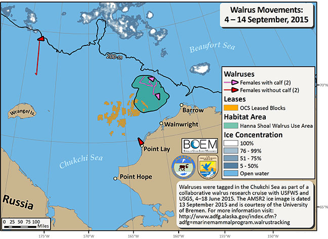 Requested Walrus Tracking Map