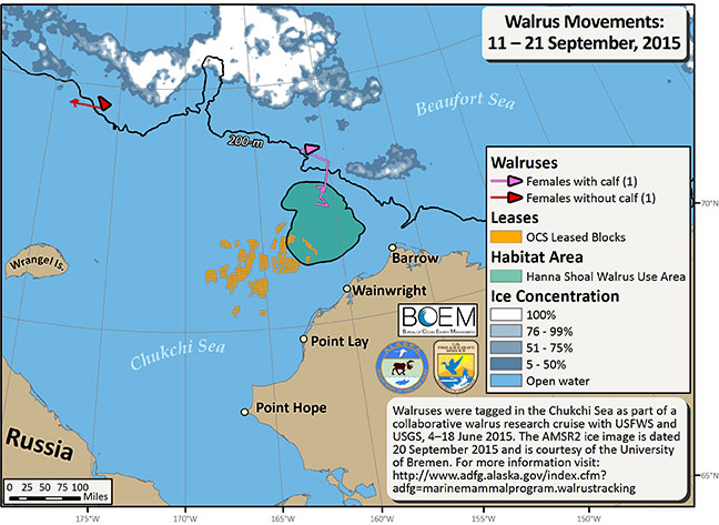 Requested Walrus Tracking Map