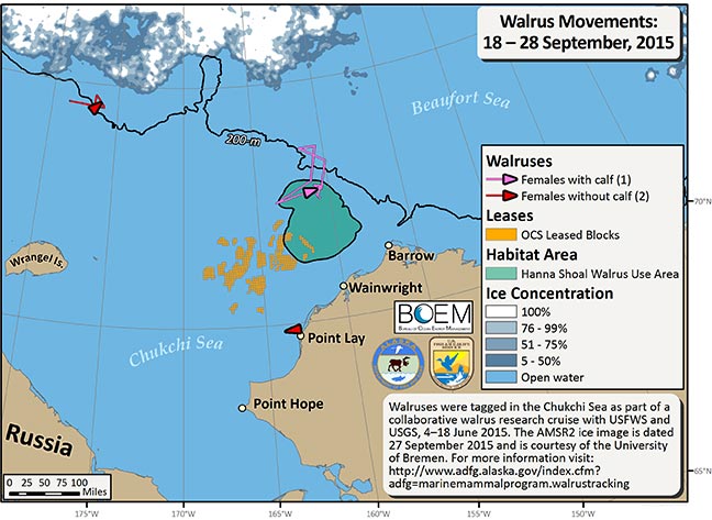 Requested Walrus Tracking Map