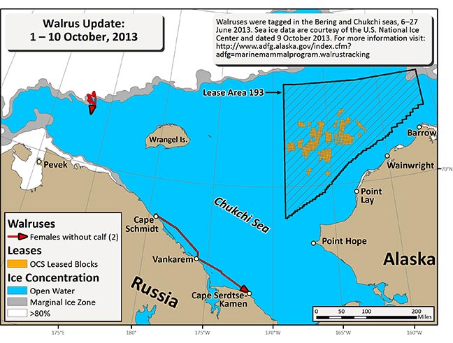 Requested Walrus Tracking Map