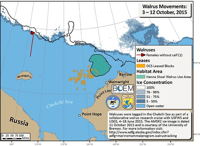 Requested Walrus Tracking Map