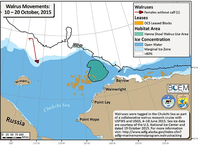 Requested Walrus Tracking Map