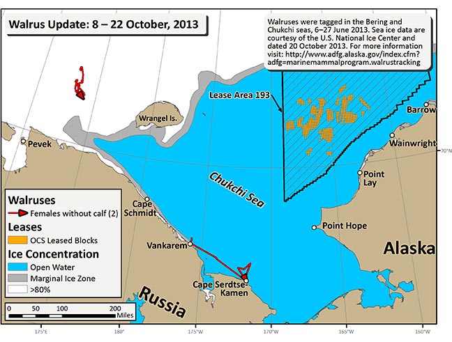 Requested Walrus Tracking Map