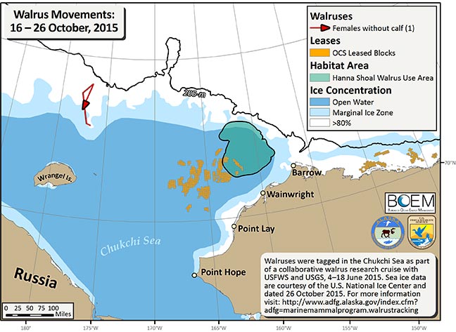 Requested Walrus Tracking Map