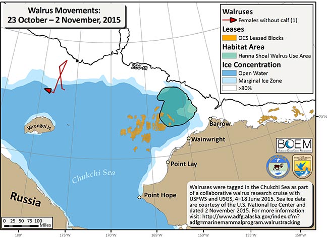 Requested Walrus Tracking Map
