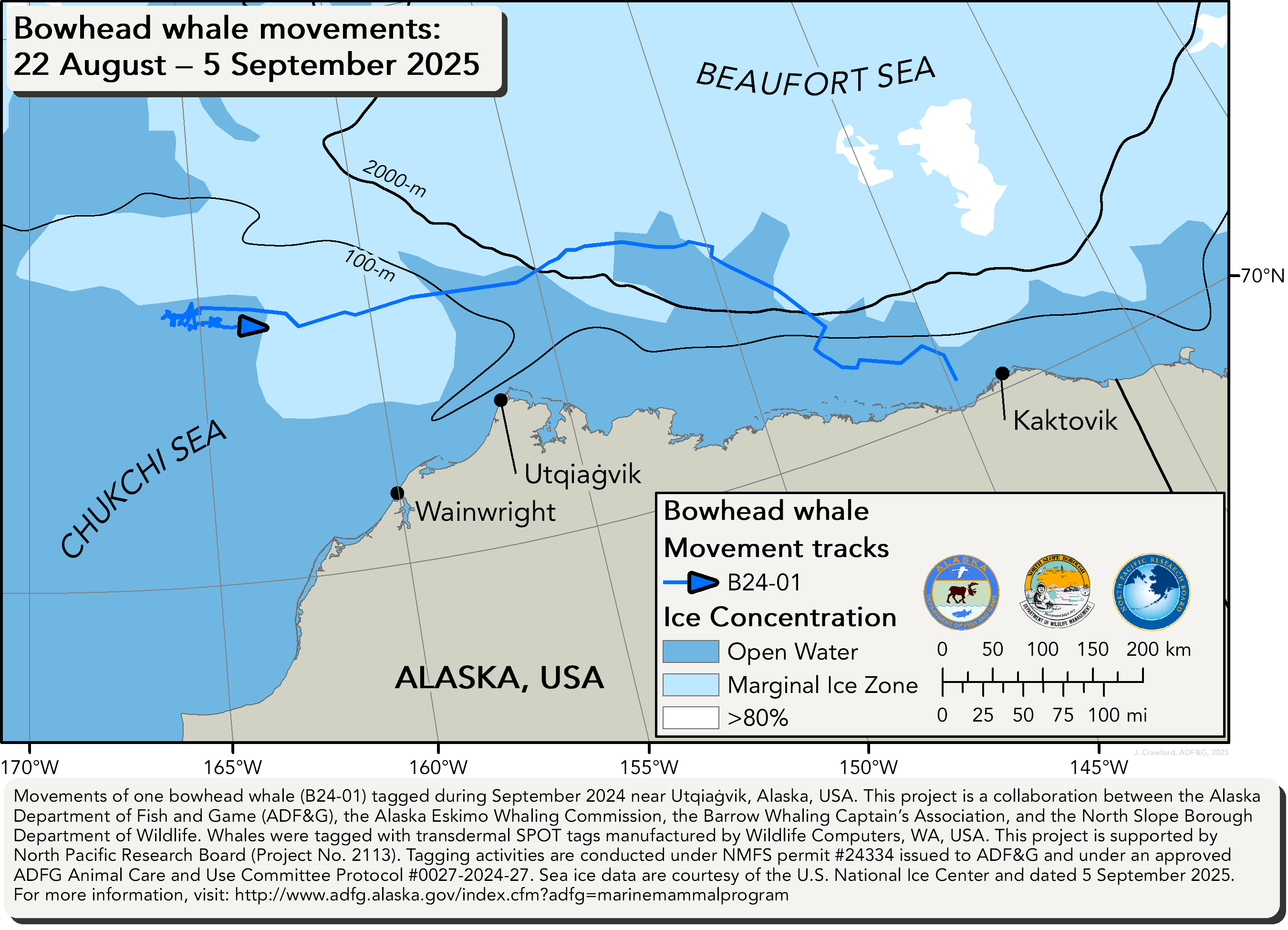 Map tracking bowhead whale movements between 08/22/2025 – 09/05/2025
