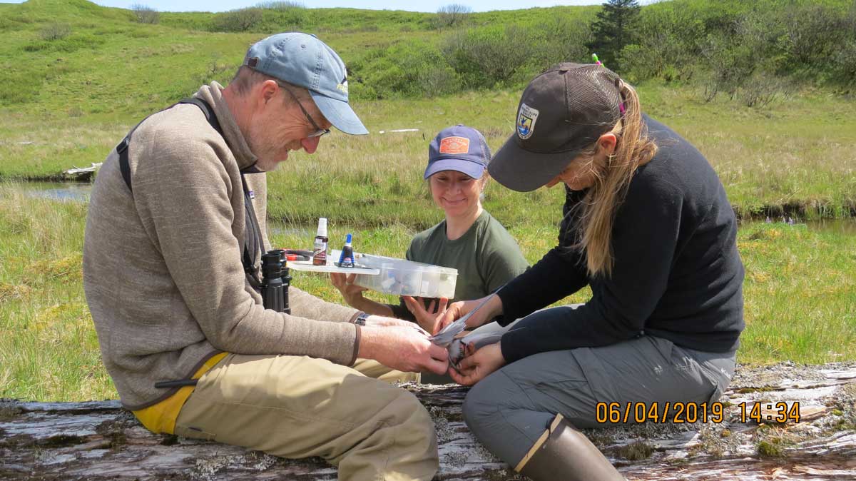 Photo by Kelly Nesvacil - Alaska Department of Fish and Game (ADFG)