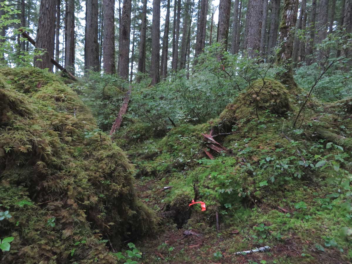 Hibernation site in rock outcrop Photo credits: ADF&G - Alaska Department of Fish and Game (ADFG)