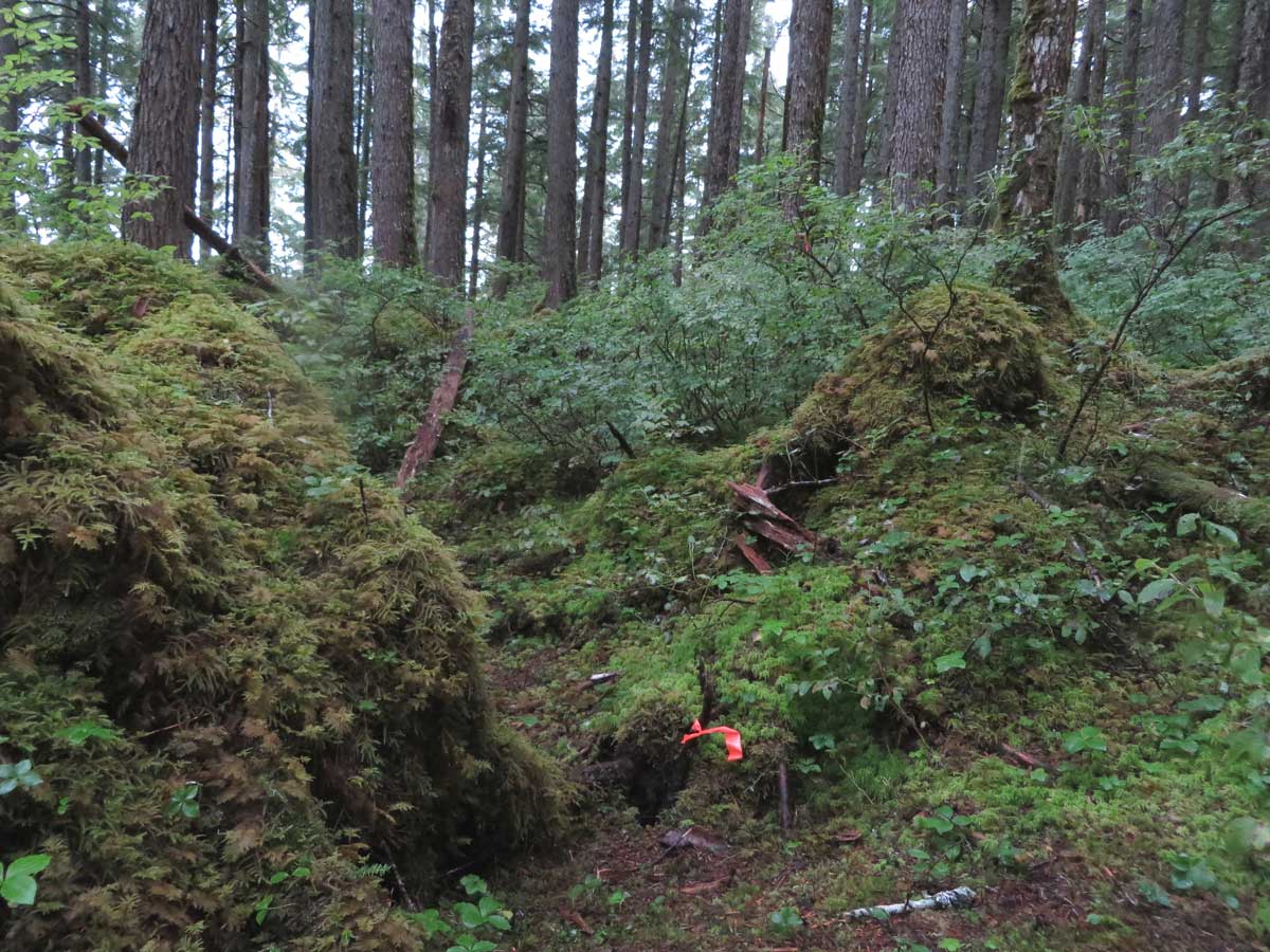 Hibernation site in rock outcrop  Photo credits: ADF&G - Alaska Department of Fish and Game (ADFG)