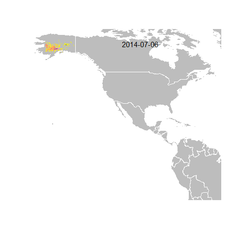 Date scrolling across the top for a mated pair (male and female) that nested in central Alaska. Data from light-level geolocators look like a daily 'cloud' of data, with the most probable location of bird in center. If we compile these daily clouds, we can reveal migratory route, and get a sense of where birds slowed or stopped along the way. These light-level geolocator data differ from GPS data. Light-level geolocators give a coarse estimate of a bird's location. GPS units provide pinpoint accuracy, but are heavier and currently do not yield daily measures for songbirds the size of OSFL over an entire year. 4) During the fall and spring Equinox (and several days on either size of each equinox), you may notice the data clouds appear 'smeared'. The birds are not actually travelling in this manner! When light levels are similar across the globe and it is simply harder to determine the location of a bird wearing a light-level geolocator. - Alaska Department of Fish and Game (ADFG)