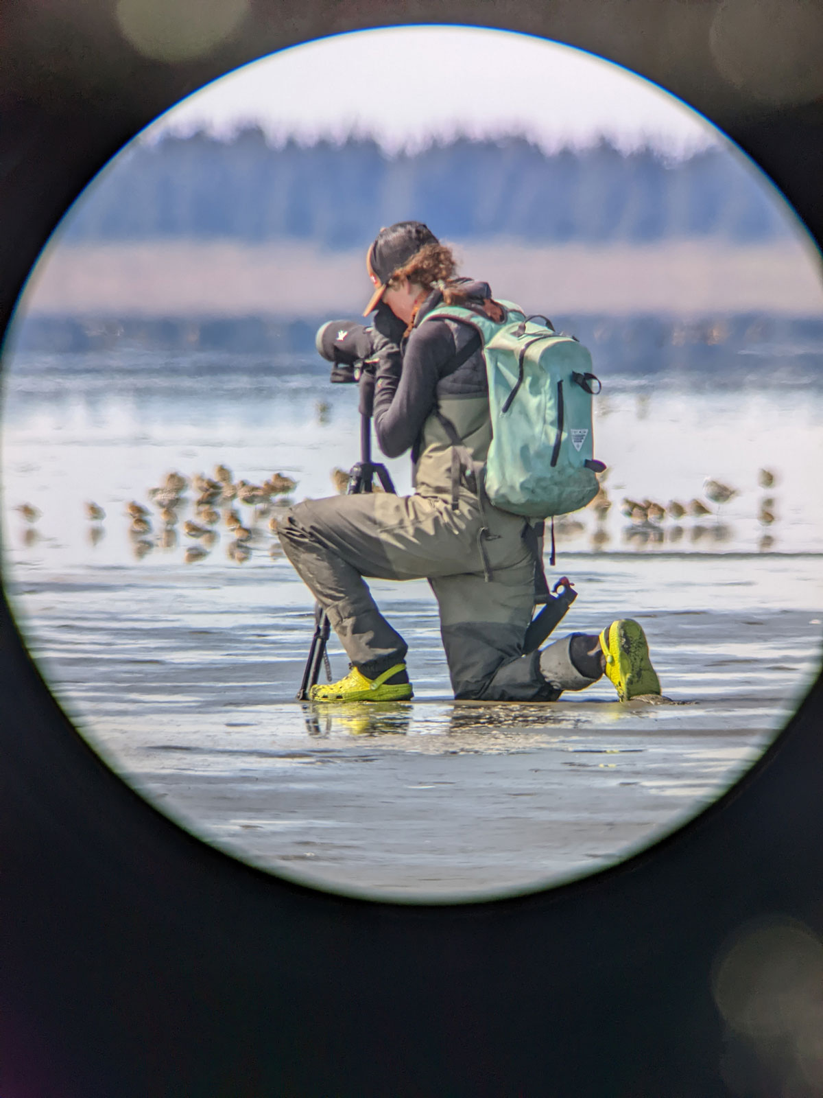 Photo by Evan Ward - Alaska Department of Fish and Game (ADFG)