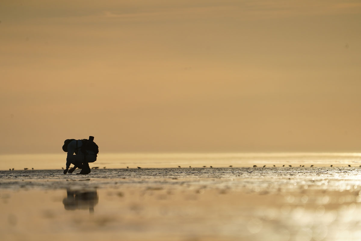 Photo by Blake Richard - Alaska Department of Fish and Game (ADFG)