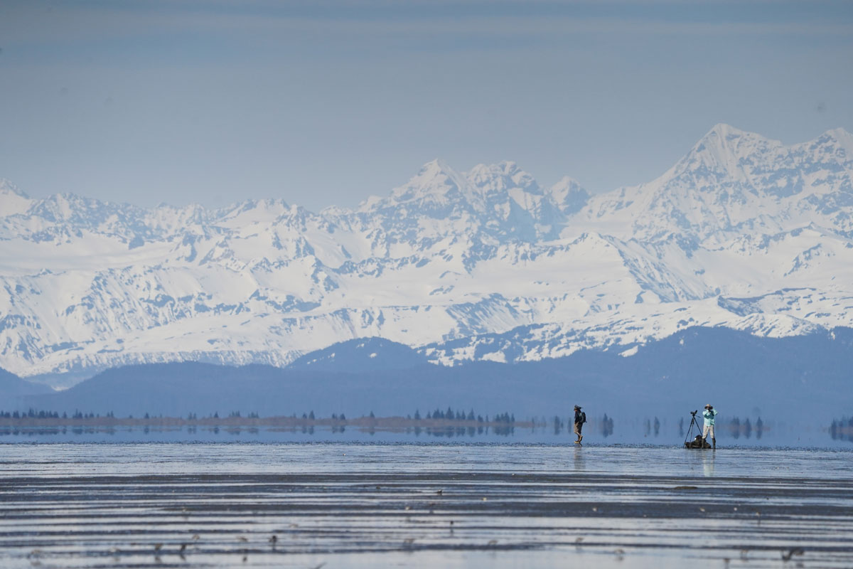 Photo by Blake Richard - Alaska Department of Fish and Game (ADFG)