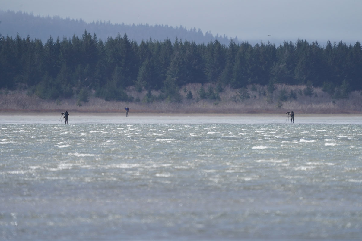 Photo by Blake Richard - Alaska Department of Fish and Game (ADFG)