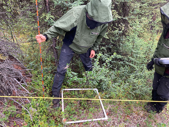 Researchers in suits in field