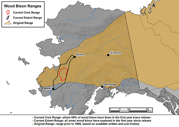 Map of Alaska, showing wood bison staying mostly near Shageluk, but also venturing north/northeast towards Galena and south/southwest towards Bethel.