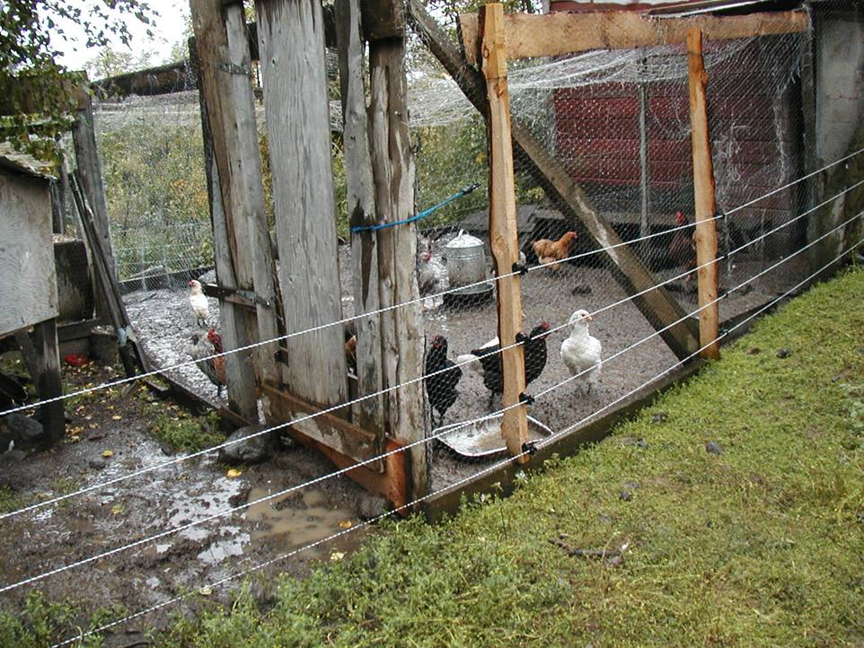 Chicken Coop with Electric Fence System - Alaska Department of Fish and Game (ADFG)