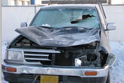 Truck smashed by collision with moose