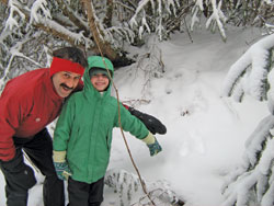 snowshoe hare tracks