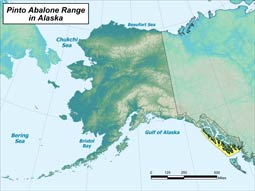 Pinto Abalone range map