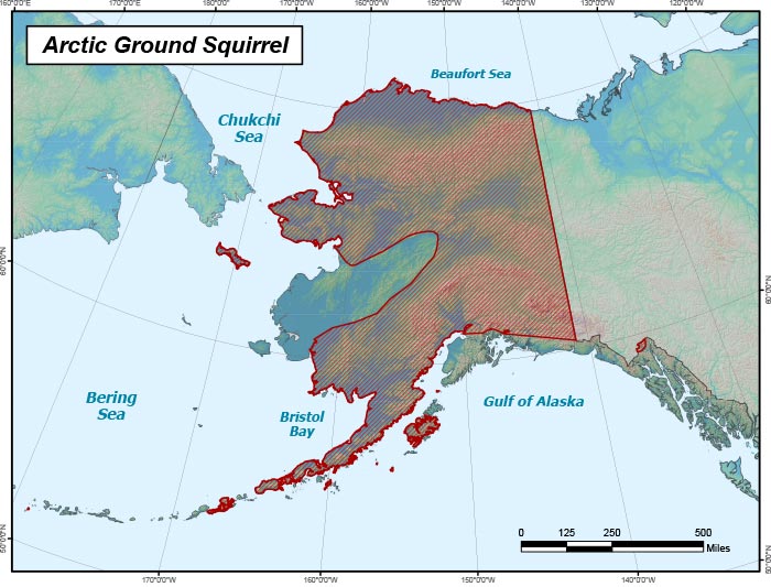 Range map of Arctic Ground Squirrel in Alaska