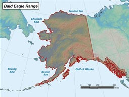 Bald Eagle range map