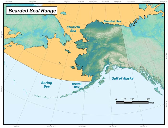 Range map of Bearded Seal in Alaska