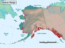 Beaver range map