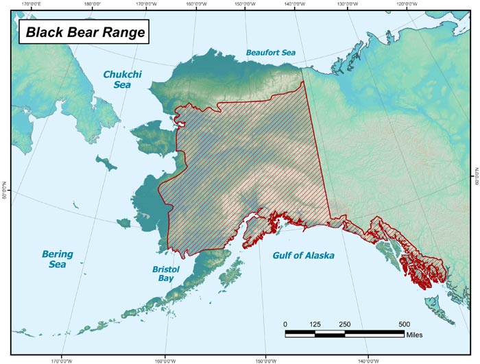 Range map of Black Bear in Alaska