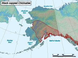 Black-capped Chickadee range map