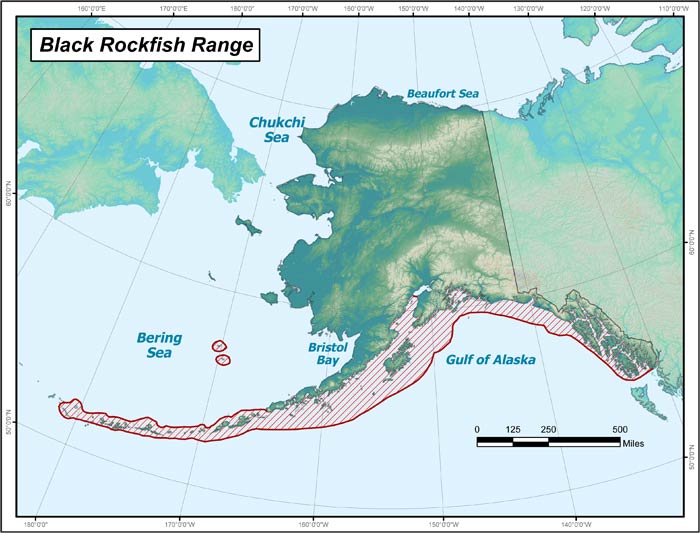 Range map of Black Rockfish in Alaska