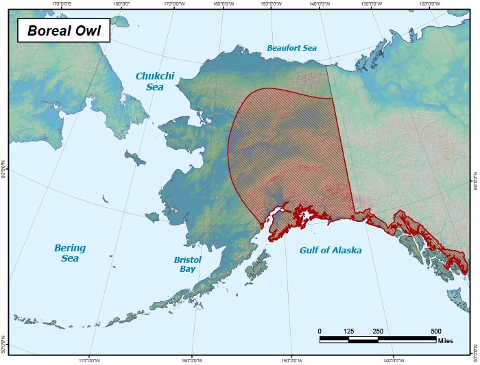 Range map of Boreal Owl in Alaska