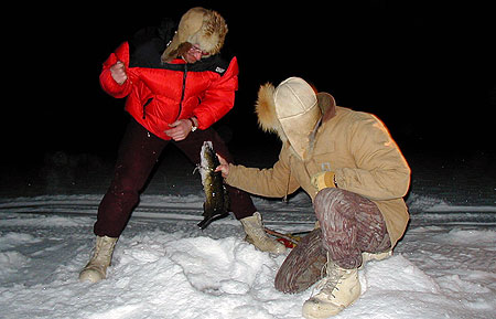 Photo of a Burbot