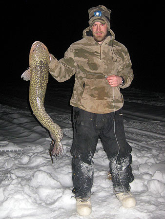 Photo of a Burbot