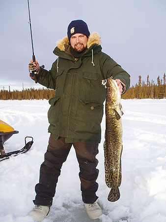 Photo of a Burbot