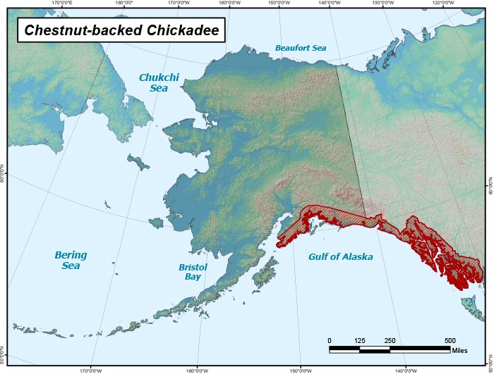 Chestnut Hill Alaska Map Chestnut-Backed Chickadee Range Map, Alaska Department Of Fish And Game