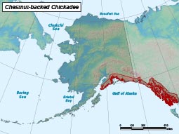 Chestnut-backed Chickadee range map