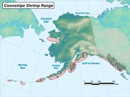 Coonstripe Shrimp range map