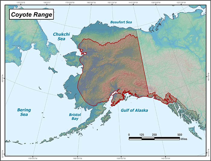 Range map of Coyote in Alaska