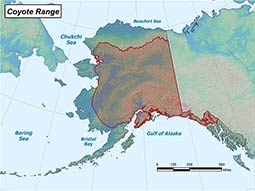 Coyote range map