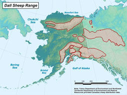 Dall Sheep range map