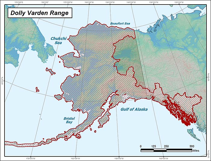 Range map of Dolly Varden in Alaska