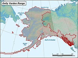 Dolly Varden range map