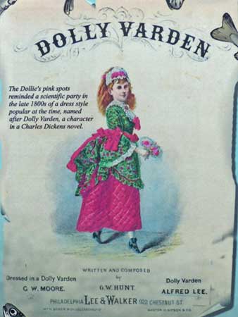 Photo of a Dolly Varden