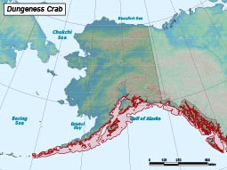 Dungeness Crab range map